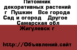 Питомник декоративных растений г. Пушкин - Все города Сад и огород » Другое   . Самарская обл.,Жигулевск г.